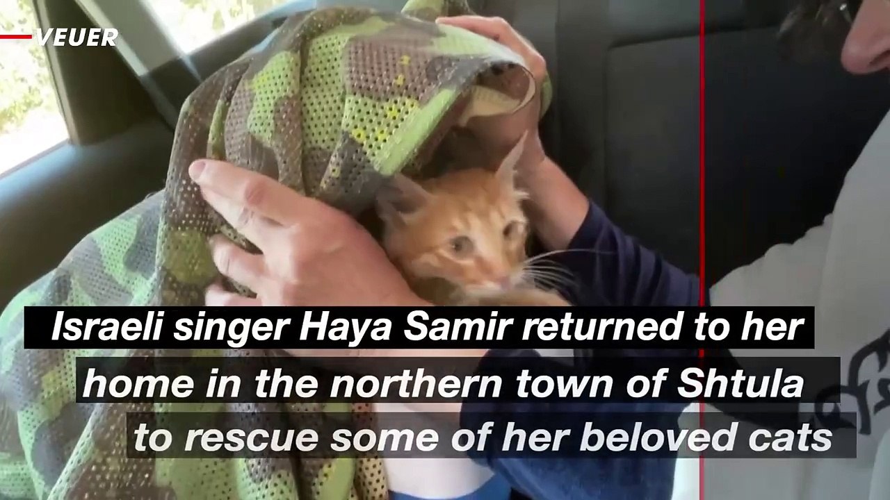 Israeli Singer Returns to Rescue Cats Amid Border Tensions