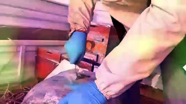 İki ilde 'Narkogüç' operasyonu! 500 kilodan fazla uyuşturucu ele geçirildi