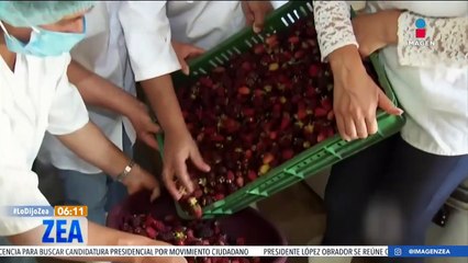 INEGI reporta 23.9 millones de mujeres con ocupaciones remuneradas