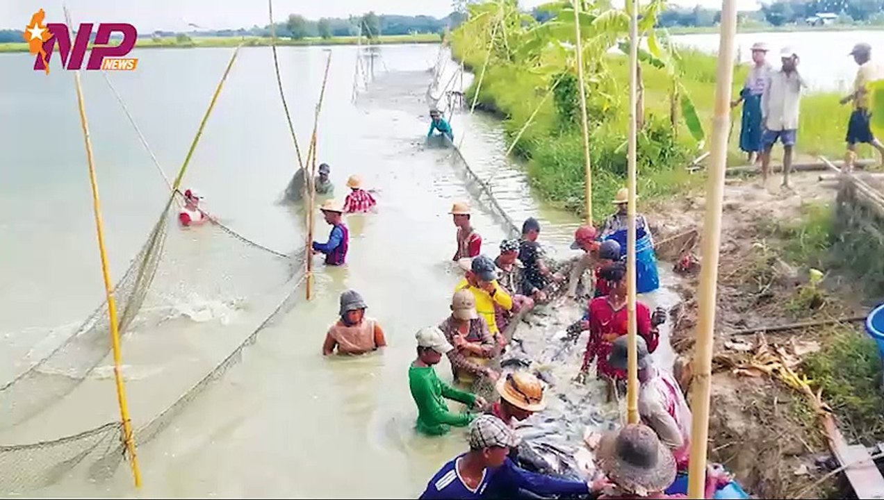 ယနေ့ အောက်တိုဘာလ ၂၄ ရက်အတွင်းဖြစ်ပွားခဲ့သော သတင်းများအား စုစည်းတင်ဆက်ခြင်း
