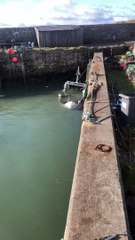 Sunk boat at Keiss harbour. Vid by Grant Nicolson (1)