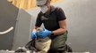 Marine Champion Saves and Rehabilitates 1,000 Seals By Building a Hospital for Them