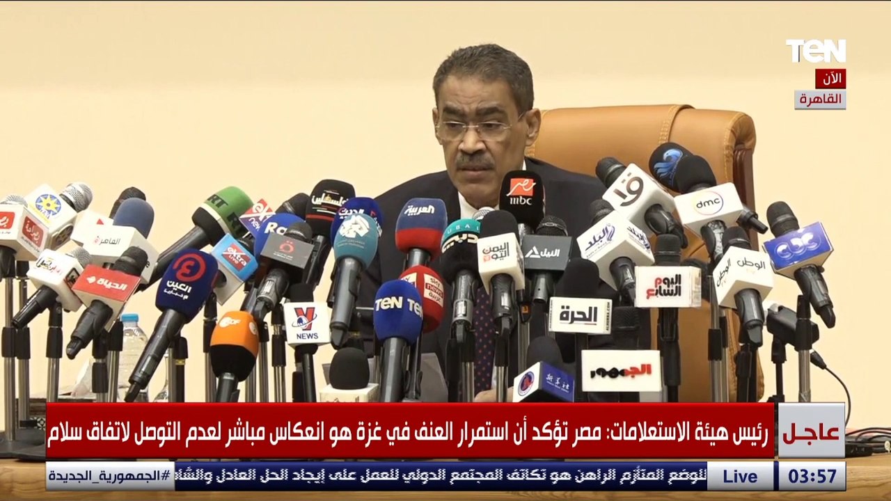 ضياء رشوان: مصر ترفض مساعي إسـ.ـرائيل لتصفية القضية الفلسطيـ.نية من خلال التهجير القسري للفلسطيني