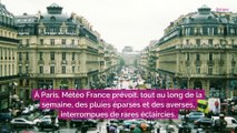 Que faire à Paris quand il pleut ? 3 musées gratuits tous les jours pour rester au sec