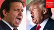DeSantis Shreds Trump, Says Ex-POTUS Is Too Reliant On Teleprompter And Will Lose Votes To RFK Jr.