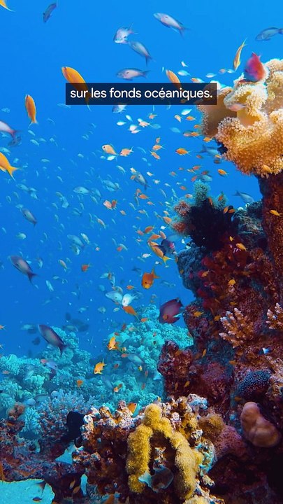 Bateaux espion & cables sous-marins