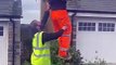 The moment a cat stuck in a tree in Bodmin is rescued by builders