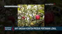 Usai Bertemu Jokowi, AHY Unggah soal Hasil Pertanian di Medsos! Akankah Jadi Mentan Berikutnya?