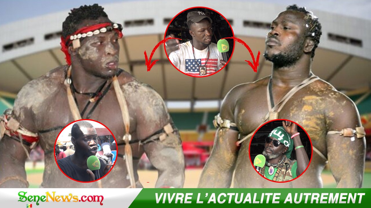 Modou Lo- Ama Baldé : Le pronostics des amateurs de lutte