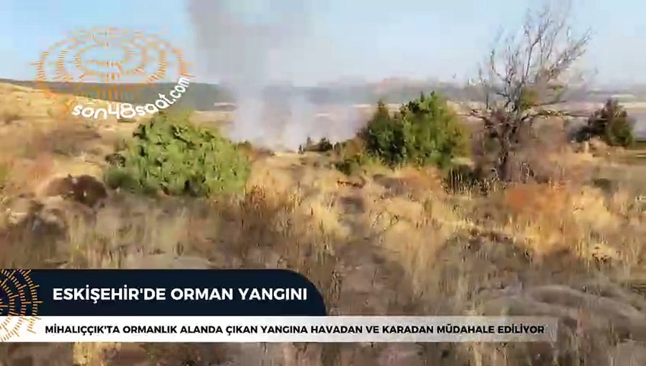 Eskişehir'de Orman Yangını