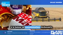 Deux menus alléchants à prix réduits chez McDonald’s - À découvrir : 5 euros et 6 euros seulement !