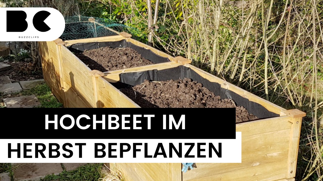 Herbst: Dieses Gemüse wächst jetzt im Hochbeet