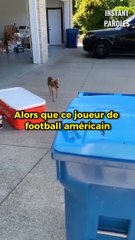 Une rencontre innatendue entre cette petite fille et cette biche