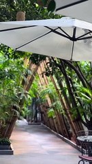 Cheers to Good friendships, Hyderbad's crazy weather and this is it's amazing smoothies!