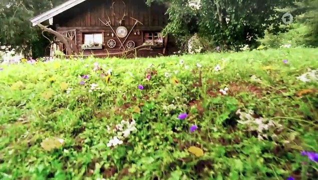 Sturm der Liebe 4131