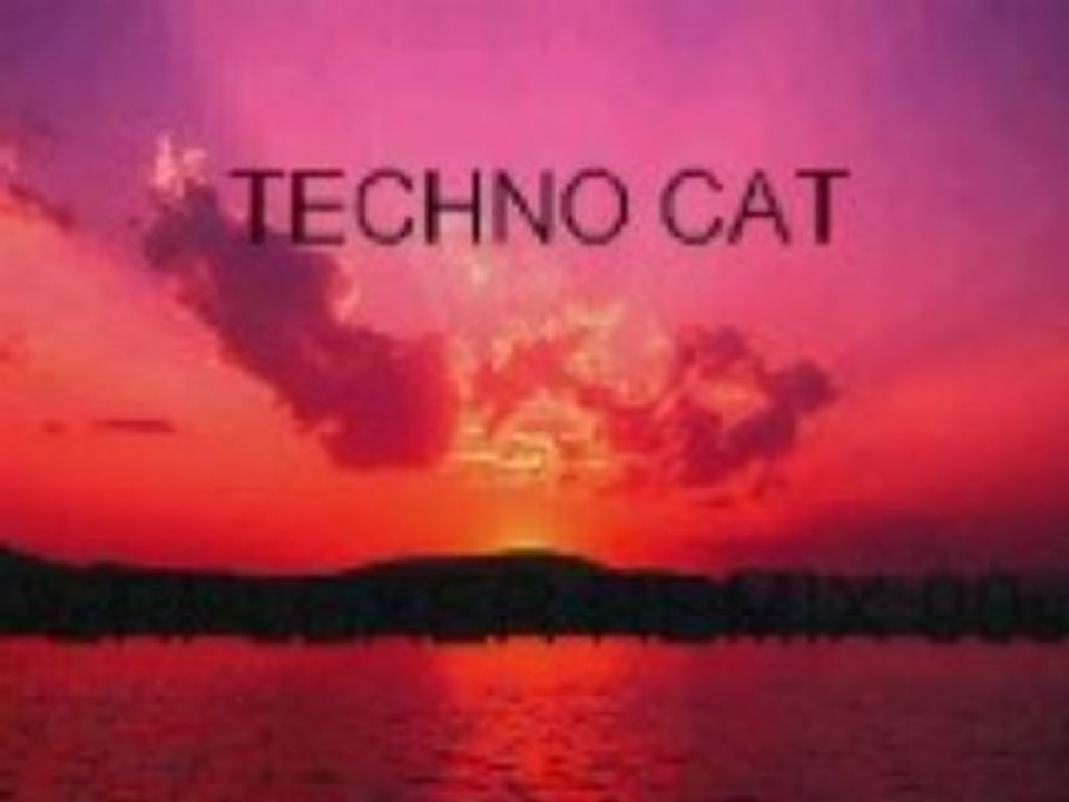 techno cat tom wilson perplexer remix  95