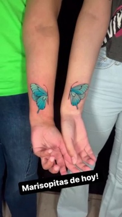 mariposas de mi