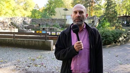 Rusza remont wybiegu dla pingwinów w płockim ZOO