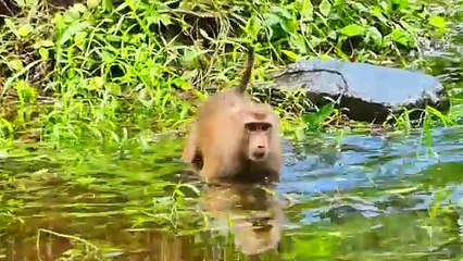 Little baby hug mom cry by terrible