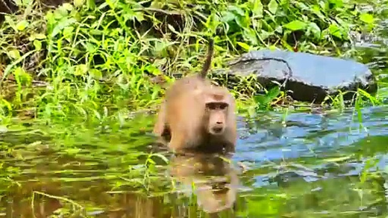 Little baby hug mom cry by terrible