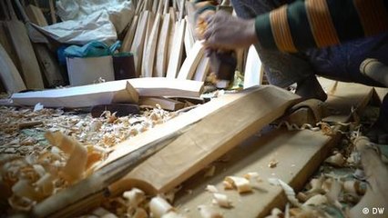 Kashmir: Are India's willow cricket bats endangered?