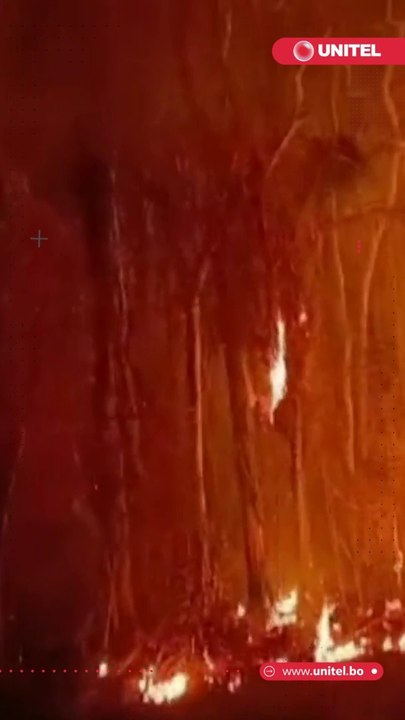 Más de 600 familias del área rural y urbana perdieron sus cultivos agrarios y frutales a causa de los incendios que consumieron alrededor de 300 hectáreas de tierras productivas en el municipio de Guanay, norte del departamento de La Paz