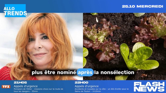Artistes rebelles : la liste secrète des stars qui suivent Mylène Farmer et boycottent les Victoires de la Musique.