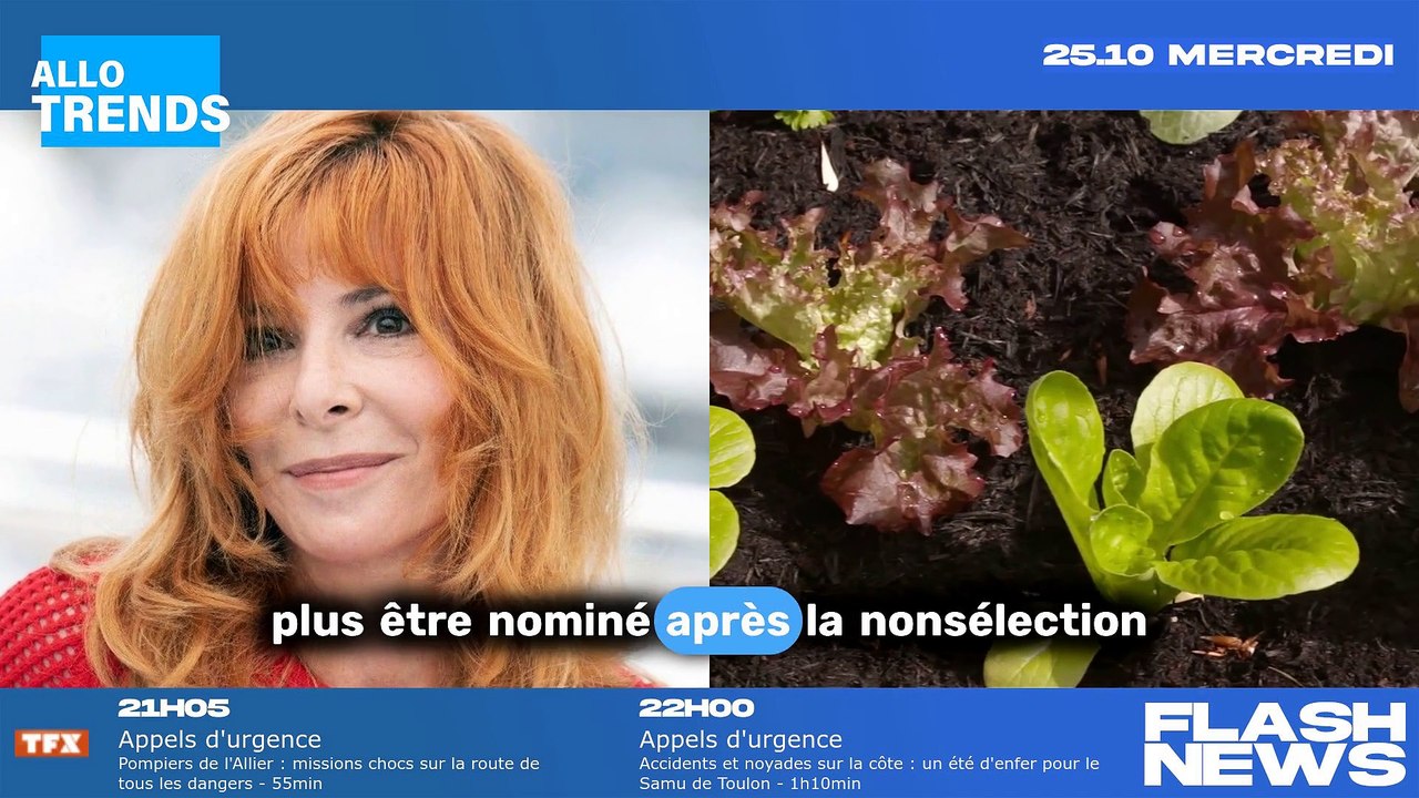 Artistes rebelles : la liste secrète des stars qui suivent Mylène Farmer et boycottent les Victoires de la Musique.
