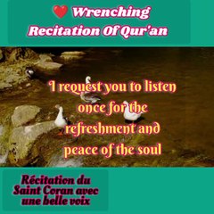 Télécharger la video: Heart Wrenching Recitation Of Qur'an..! Reciting Of Surah Al-Baqrah..! Amazing Recitation Of Qur'an  |  Heart Touching Reciting Quran |  Coran Récitation...!  Treatment of Problems....! Heart Satisfaction Solutions...! Recitación del Sagrado Corán con her