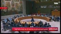 كلمة وزير الخارجية سامح شكري في جلسة مجلس الأمن حول الوضع في الشرق الأوسط