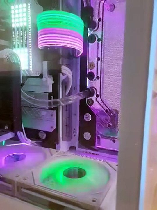 Literal Computer Bug