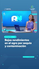 Bajos rendimientos en el agro por sequía y contaminación
