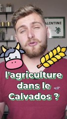 Ça ressemble à quoi l’agriculture dans le Calvados ?