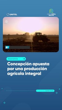 Concepción apuesta por una producción agrícola integral