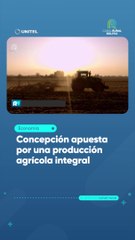 Concepción apuesta por una producción agrícola integral