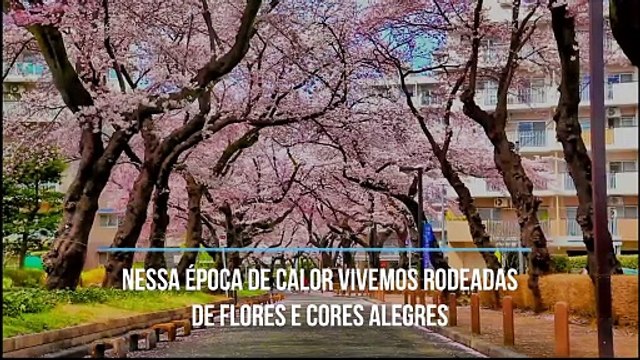 Primavera-verão: cores de maquiagem que estão em alta
