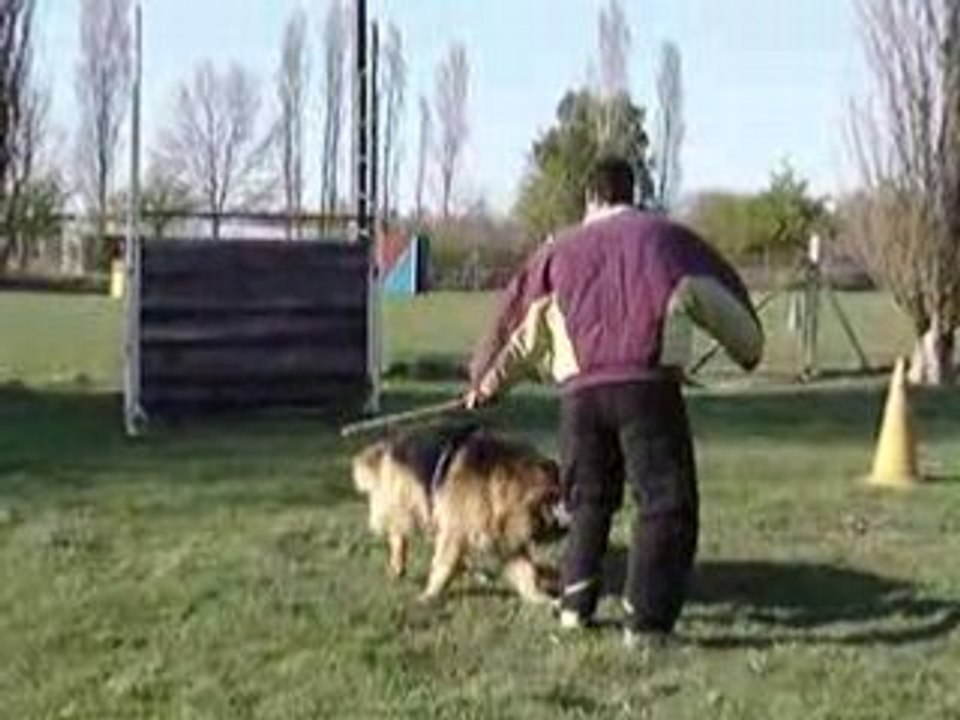 MOV06936