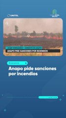 Anapo pide sanciones por incendios