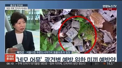 [출근길 인터뷰] 길에 떨어진 '네모 어묵'…"절대 만지지 마세요"