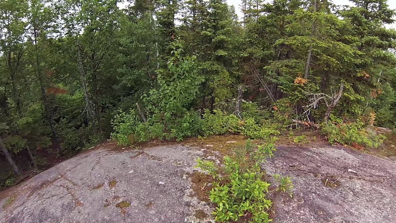 Auto Alma Parc Saint-Pierre Roche de la Tortue 17 Juin 2023