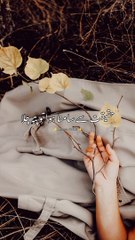 Haqiqat sa samnai huwa to pata chala || sad poetry