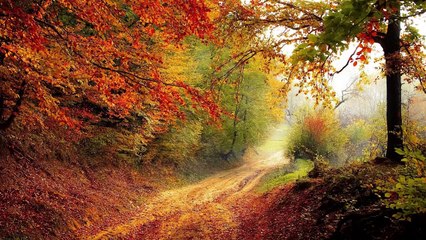 Relaxing Meditation Music for Stress Relief & Inner Calm 🌿 | 2025 Chill Vibes