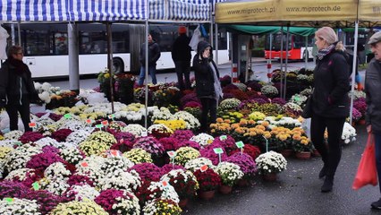 1 listopada: zmiana organizacja ruchu i kursów autobusów w Koszalinie