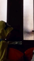 Vous êtes prévenus... (Joyeux Halloween quand même).