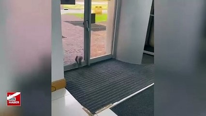 Sincabın cam kapı ile imtihanı