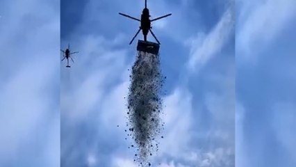 Un influenceur tchèque déverse un million de dollars en liquide au-dessus d’un champ