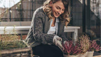 Noch im Herbst pflanzen? Wasser muss gut abfließen können