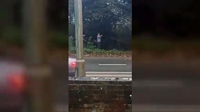 Catapult yobs target veterans