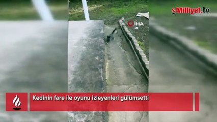 Kedinin fare ile oyunu izleyenleri gülümsetti