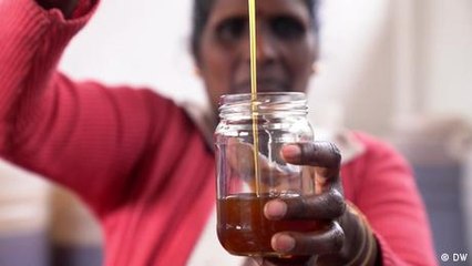 Tamil Nadu's wild honey hunters